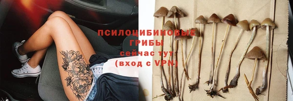 сатива Богородицк