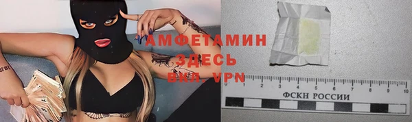 сатива Богородицк
