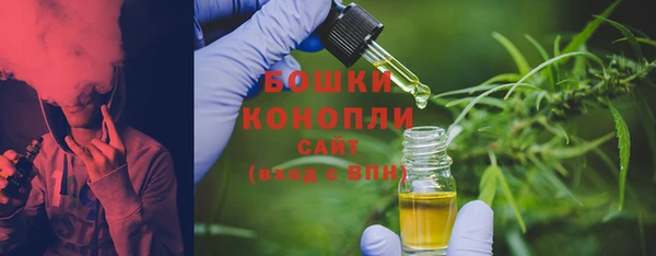 сатива Богородицк
