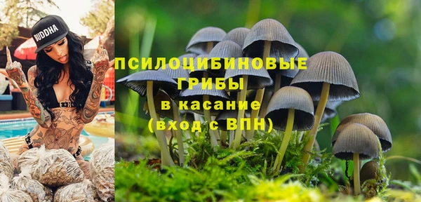 ALPHA-PVP Богородск