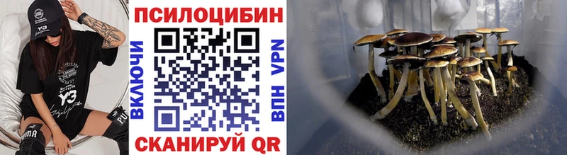 Галлюциногенные грибы GOLDEN TEACHER  цена наркотик  Верхняя Тура 